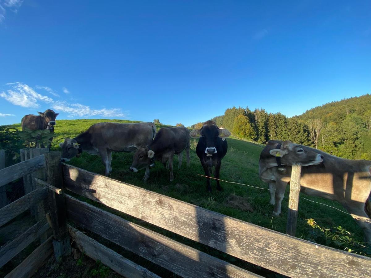 Bergblick Mit Garten, 2022 Komplett Renoviert Apartment Wangen im Allgaeu